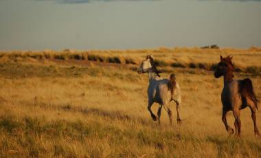 Nature & Landscapes