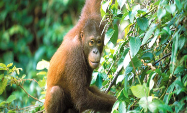 Malaysia