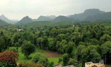 Ayurveda
