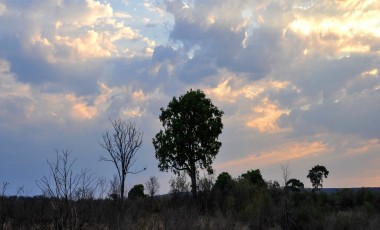 Zimbabwe