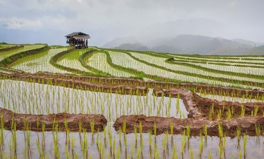 Laos