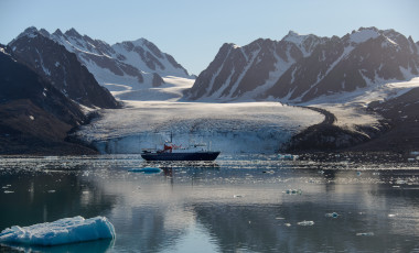 The Arctic