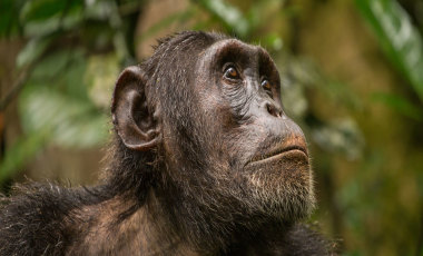 Uganda