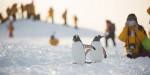 Antarctica