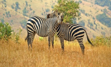 Rwanda