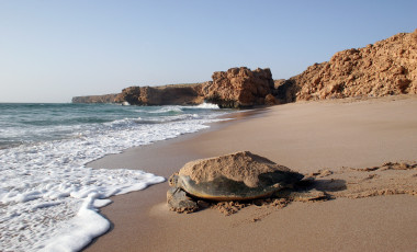 Oman
