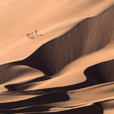 Middle East