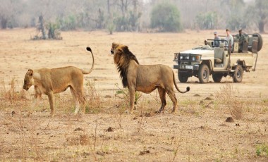 Zambia