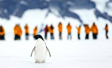 Antarctica