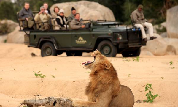 Africa Tours