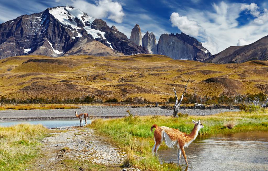 Chile