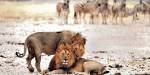 Namibia