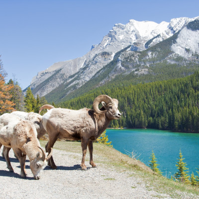 Canada Road Trip: Vancouver to Calgary