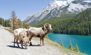 Canada