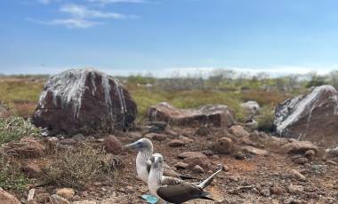 Ecuador & Galapagos