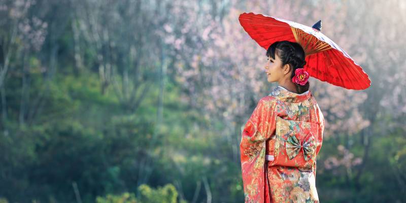 Japan Tours