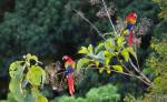 Costa Rica