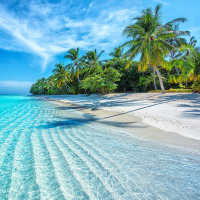 Travel Themes