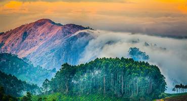 South India