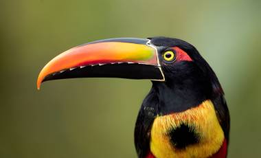 Costa Rica