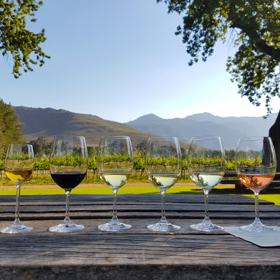 Wine & Food