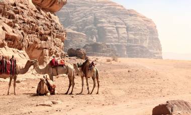 Jordan tour