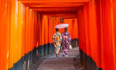 Japan Tour