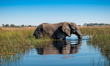 Zimbabwe
