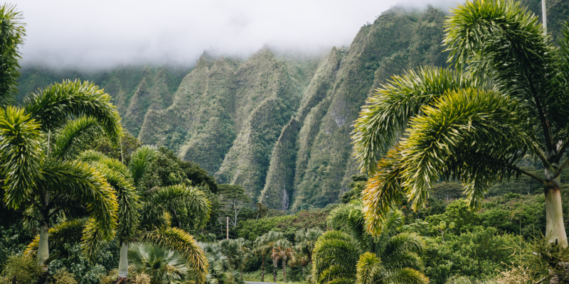 Hawaii