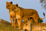 Namibia